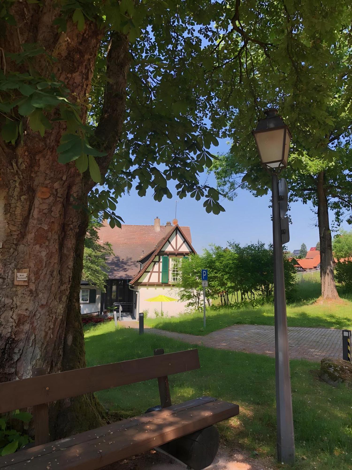 Ferienwohnung Am Keschtebaum, 70Qm Sasbachwalden Eksteriør billede